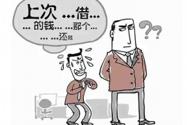 平阳为什么选择专业追讨公司来处理您的债务纠纷？